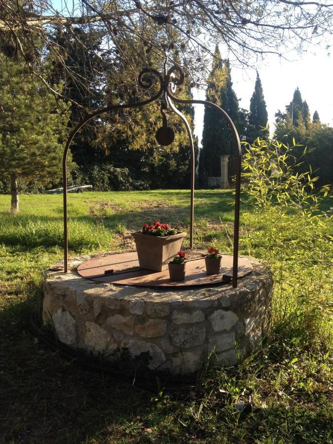 Gites de l olivier au Mas au Coeur de la Provence &SPA Saint-Cannat Chambre photo